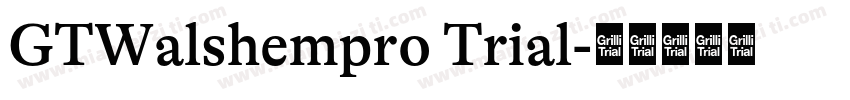 GTWalshempro Trial字体转换